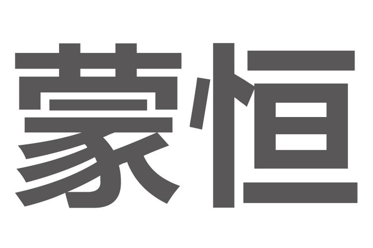 从制造到服务 一般项目企业的多元经营之路
